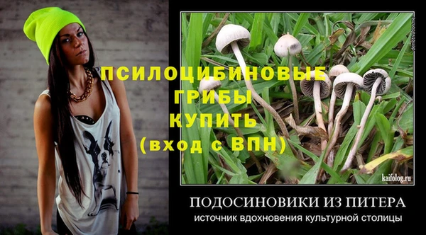 мдпв Балахна
