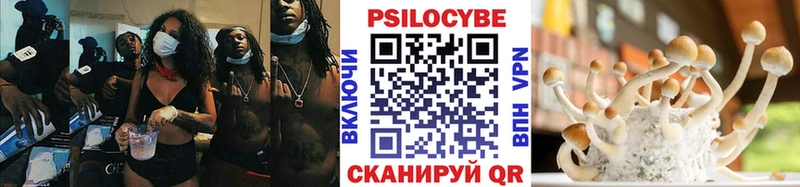 купить наркоту  Острогожск  hydra как войти  Псилоцибиновые грибы Psilocybine cubensis 
