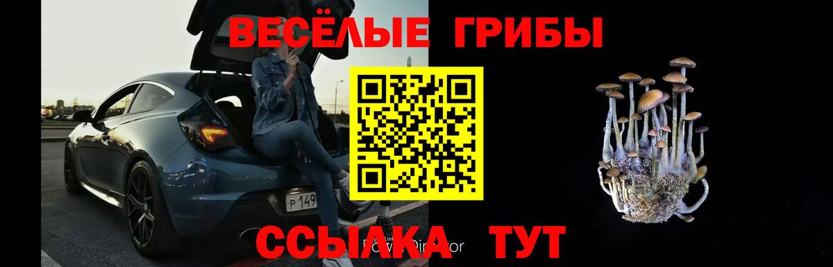 Острогожск  Псилоцибиновые грибы GOLDEN TEACHER  Вход с VPN  Галлюциногенные грибы Psilocybe 