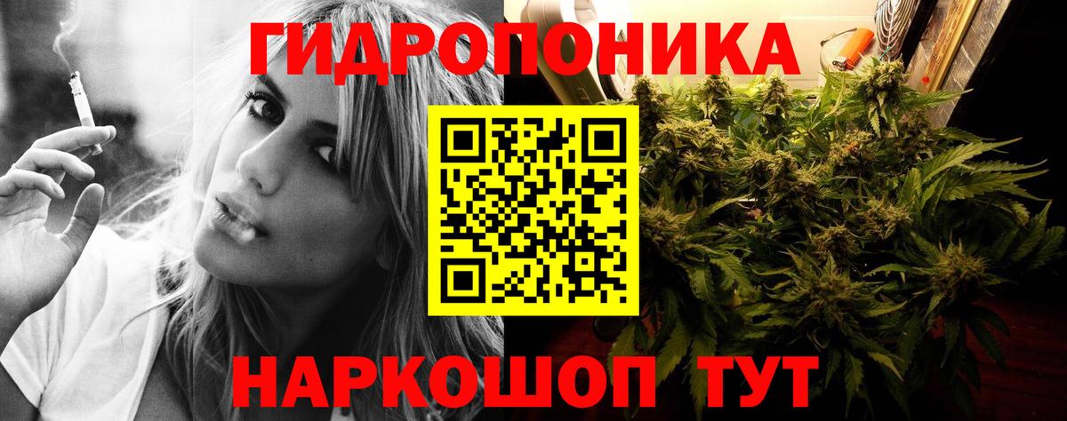 Канабис сатива Острогожск